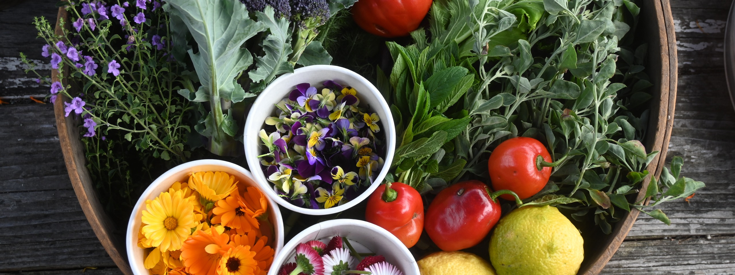 Sydney City Farm 季节导览活动图片