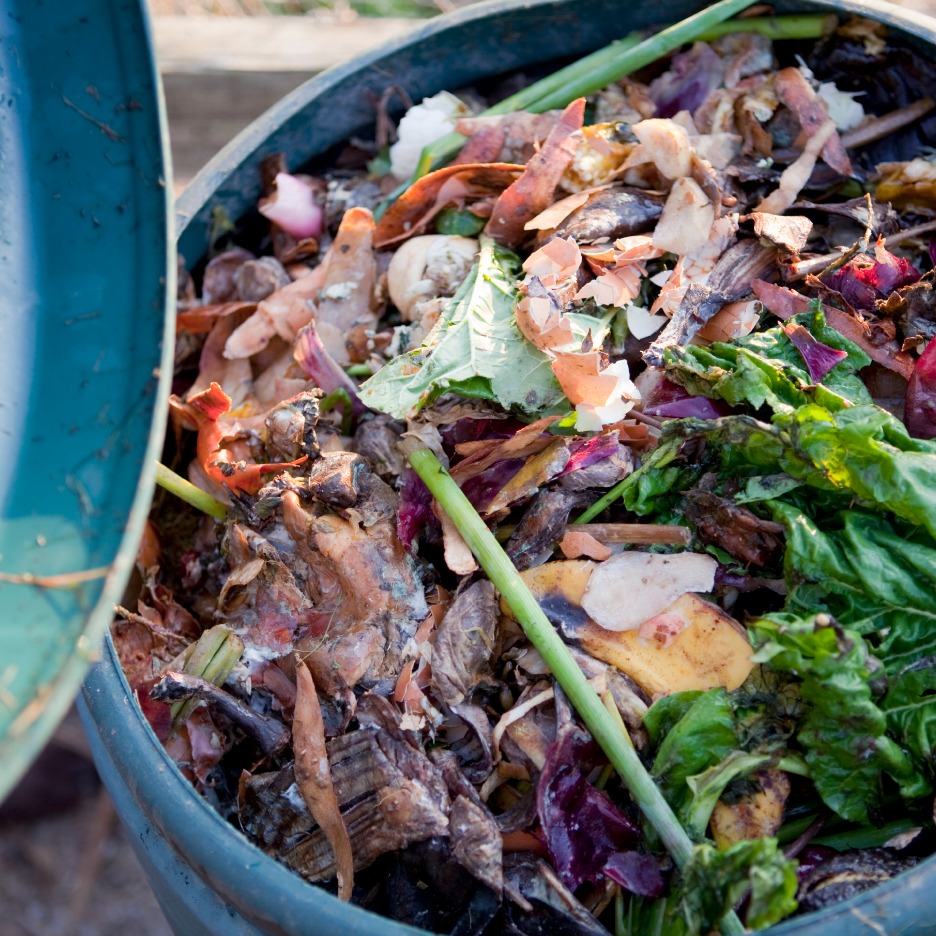 Compost and worm farm basics talk
