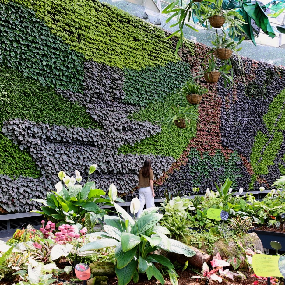 Alchemy of a Rainforest exhibition