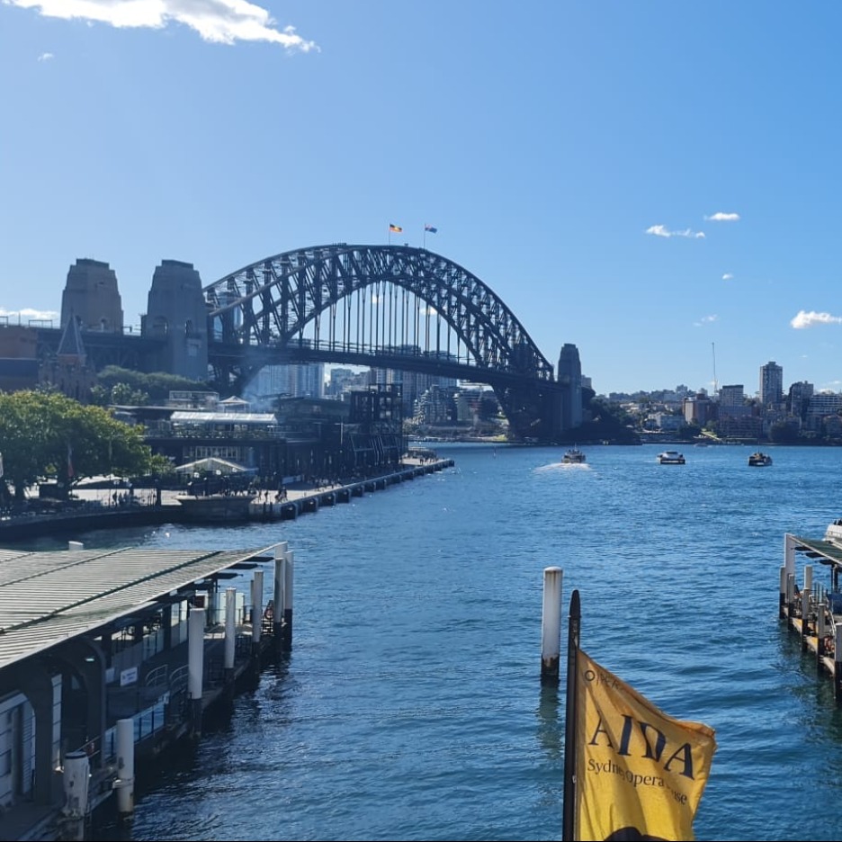Free tour Sydney in Spanish