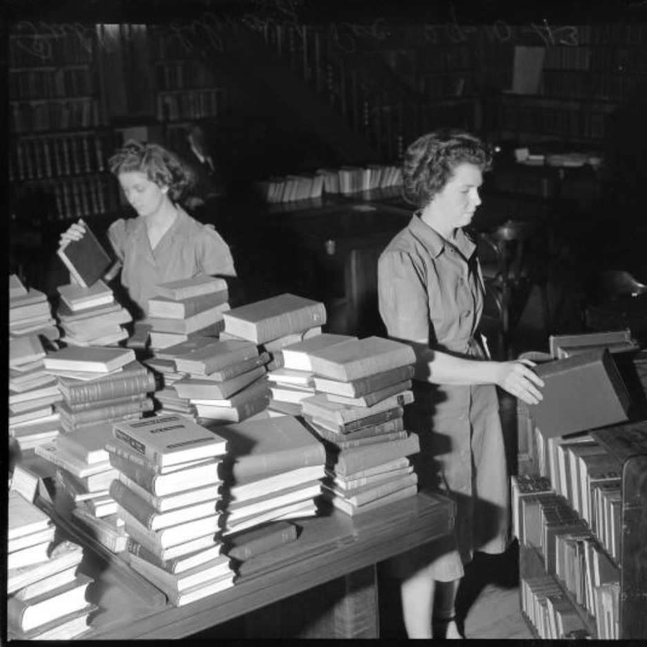 Finding family stories