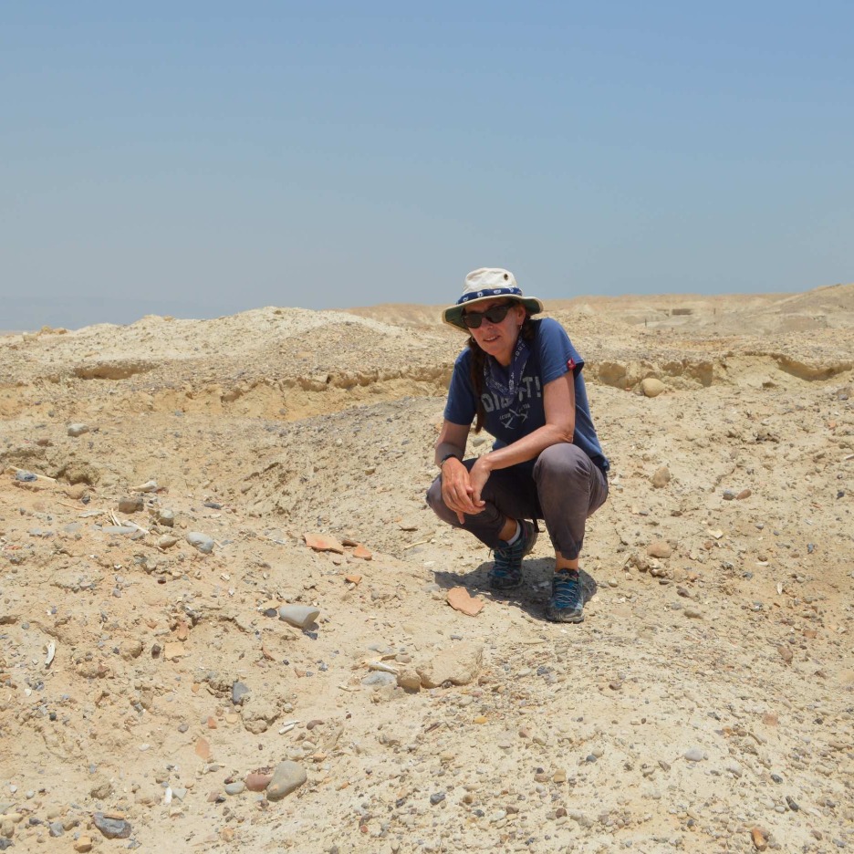Diggers, Drones, Data, and Diplomacy