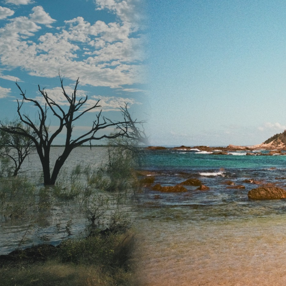 Madjawa Maangi: First Nations Exhibition and Events Program