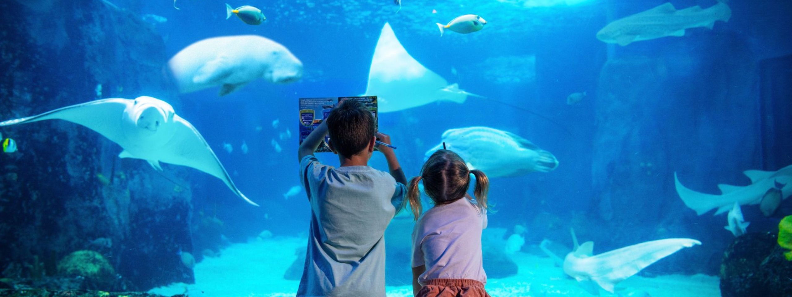 SEA LIFE 悉尼水族馆 Creature Rescue Squad 活动图片