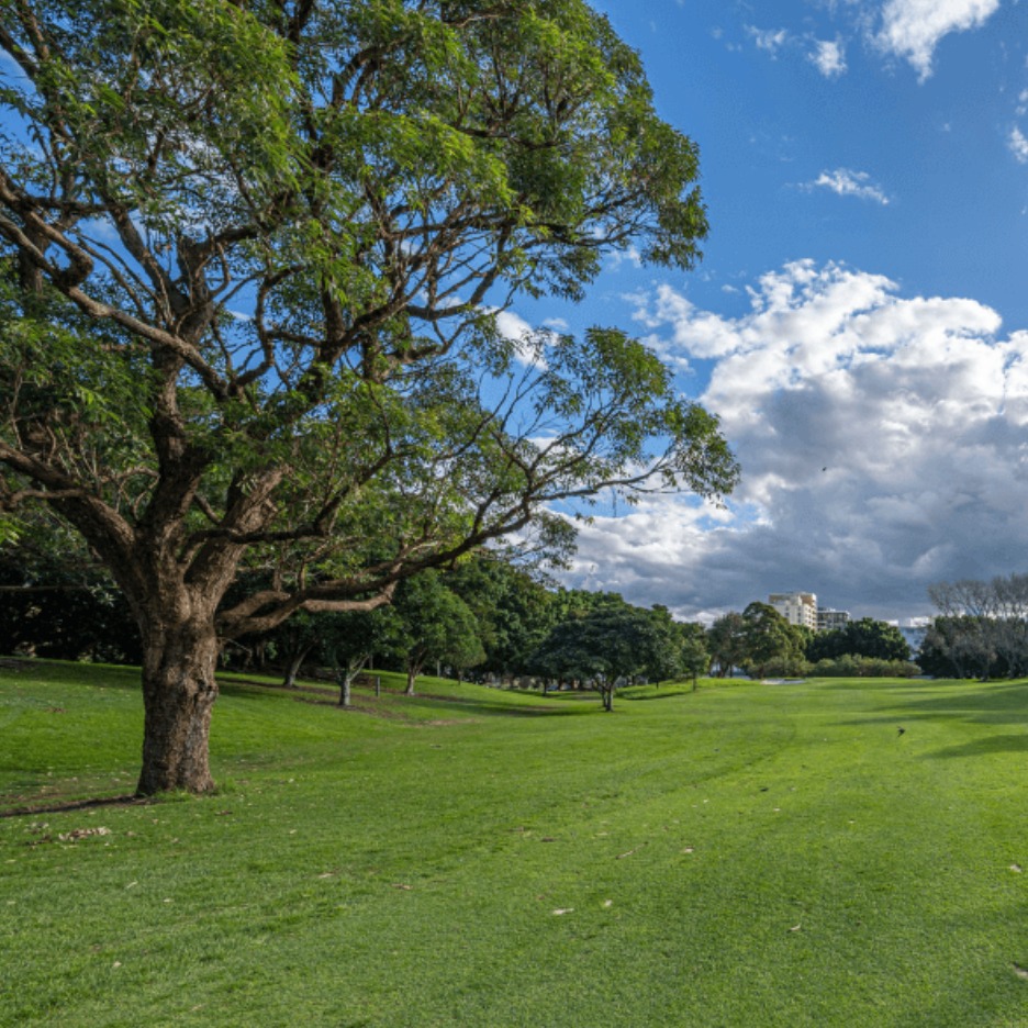 Moore Park South family fun day