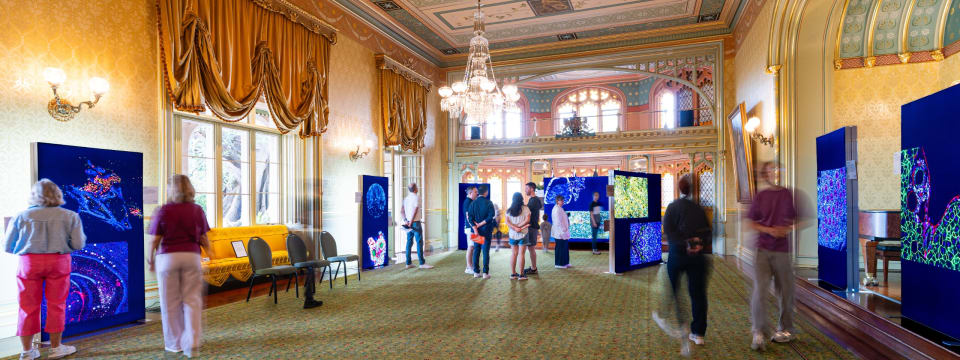 When Art Meets Science 科研影像展图片