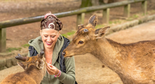 Day trip to Nara, where past meets present