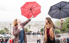 Paris, Your Way: A Flexible Full-Day Discovery