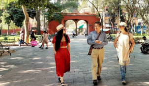 Explore the creative Coyoacán neighborhood