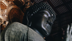 Day trip to Nara, where past meets present