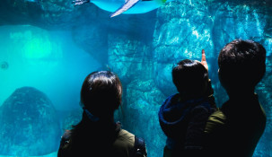 Family day in Yokohama with a local