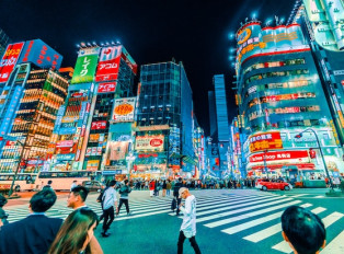 Private Tours Tokyo: A Day for Exploring High-Tech Wond