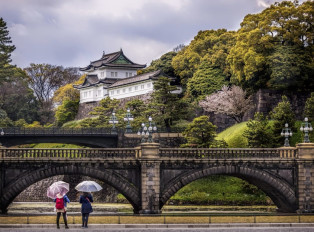 Through the Eyes of a Local Tour Guide: Tours in Tokyo 