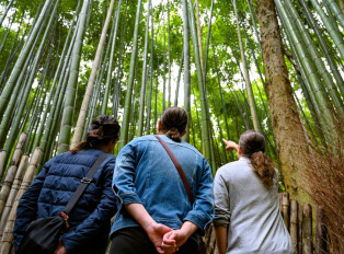 Day trips from Tokyo: Nature