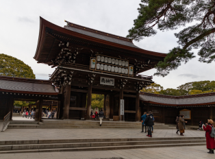 Take a private tour to the meiji jingu shrine