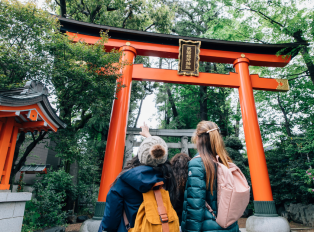 Take a private tour of Tokyo's hidden shrines, food spo