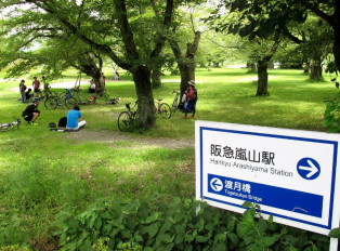 Visit sites like the bamboo forest