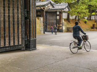 Visit the famous Kiyomizu Dera Temple and Fushimi Inari