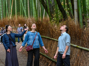 Visit the Bamboo Forest