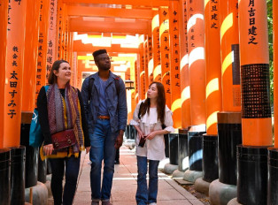 Explore Kyoto's highlights