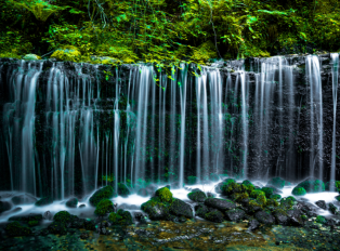 The Shiraito waterfall 