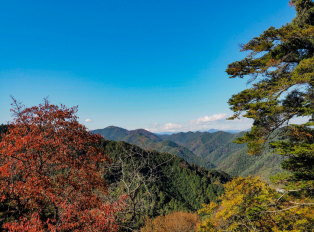 View of the Takao-San mountain range