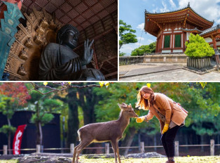 Explore Nara