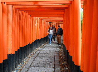 Book a private Kyoto tour to see the best of Kyoto