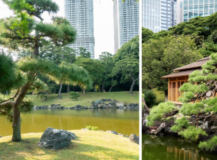 Lush green oasis away from the bustle of Tokyo 