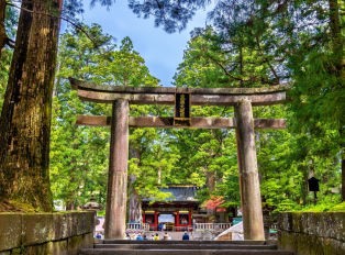 Torii gate in Nikko