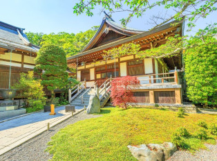 Hokoku-ji Temple, aka the Bamboo Temple