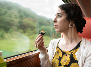 Woman on a train in Japan