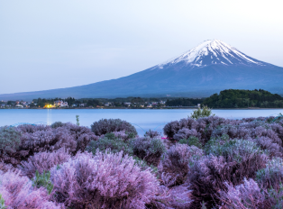 Mount Fuji from one of the Fuji Five Lakes