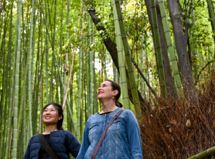 Visitors exploring Arashiyama Bamboo Grove, Japan