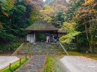 Honen-in Temple, Japan