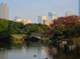 Hamarikyu Gardens is a serene oasis in the bustling cit