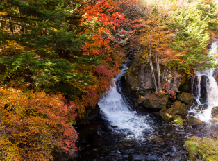 Day trips from Tokyo to Nikko National park, Japan