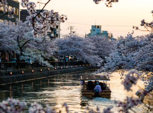 Themed parks and historical places in Tokyo and aroud