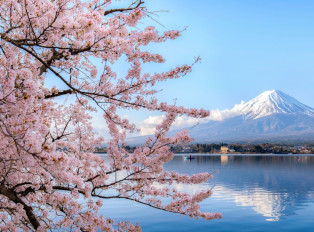 Sakura season is a delightful time for a day trip to mt