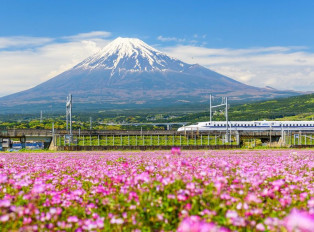 Take a bullet train to Shin-Fuji Station