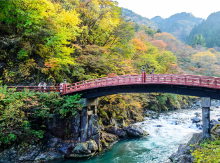 Adventure Trips: Uncover hidden gems from Tokyo with lo