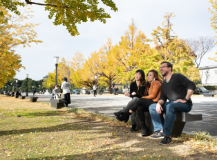 Visit  the serene Ueno Park or a boat ride on the Sumid