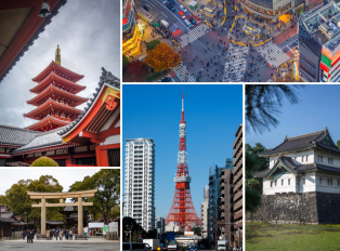 Go sightseeing and see Tokyo's landmarks 