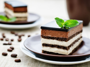  The opera cake maestros 