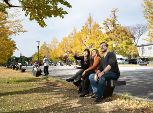 Your walking tour in the park will be a tranquil break 