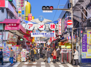 Discover the best time to visit Tokyo