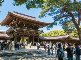 Dive into Japanese culture by visiting Japan capital