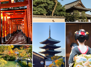 Pathway to Kyoto’s beauty