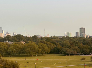 Primrose Hill