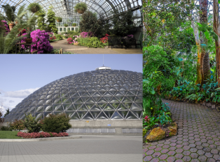 Bloedel Conservatory